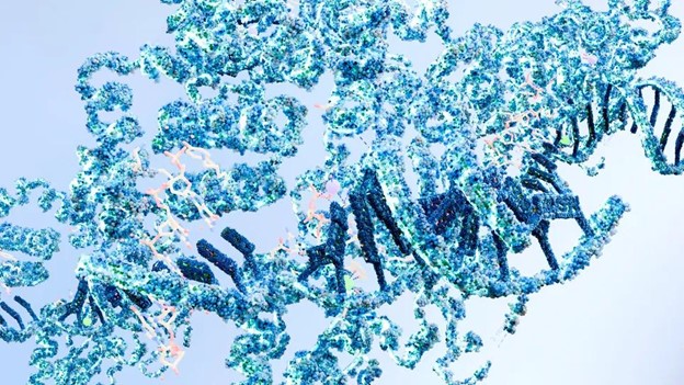 TP53 Mutation - ASCO 26.jpg